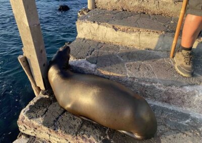 Bartholomé: 372 Stufen,eine besetzt. Foto: I. Kahle